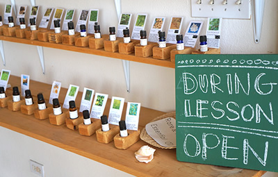 Ohana Healing Institute